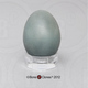 Gray Catbird Egg