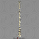 Human Female European Vertebral Column-all 24 Vertebrae, Disarticulated
