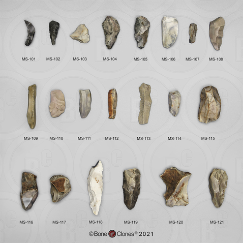 Set of 21 Neanderthal Tools