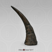 Black Rhino Horn Large (Replica)