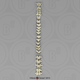 Human Female Asian Vertebral Column-all 24 Vertebrae, Disarticulated