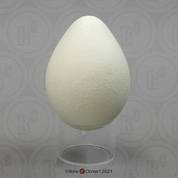King Penguin Egg