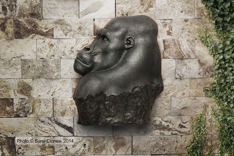 Large-scale Gorilla Bust