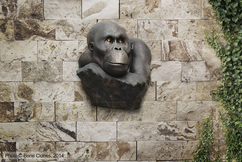 Large-scale Orangutan Bust