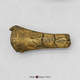 Australopithecus anamensis Right Distal Tibia - KNM-KP-29285B