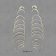 Human Male Asian Ribs, Set of 24 (left and right)