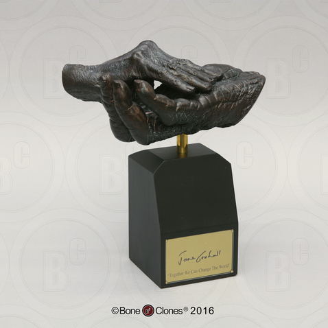 Jane Goodall and Chimpanzee "Hand-in-Hand" Life Cast on Base - Limited Edition