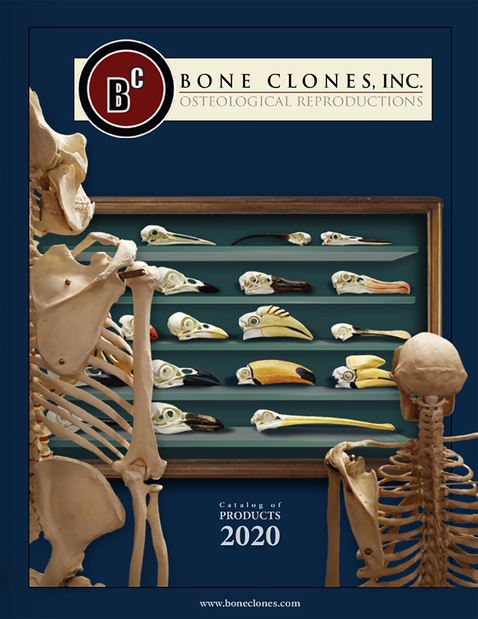 2020 Catalog