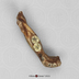 Denisovan Xiahe Mandible - Bone Clones, Inc. - Osteological Reproductions