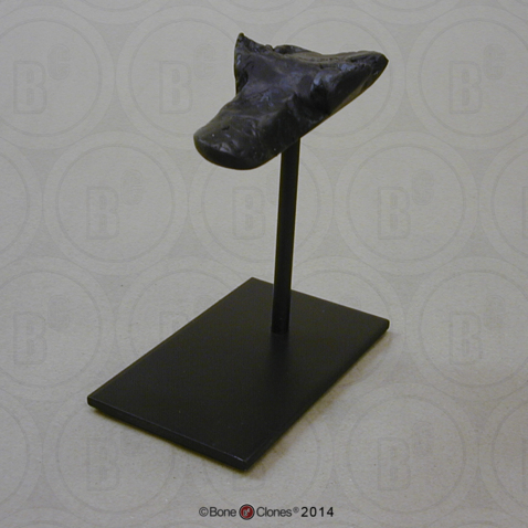 Stand for BH-061