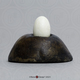 Ruby-throated Hummingbird Egg