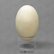 California Condor Egg
