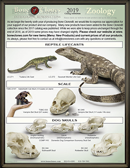 Zoology Catalog Addendum 2019