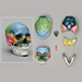 Human Female European 7 piece Color-Coded Study Skull