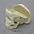 5-year-old Human Child Skull, Dentition exposed and Calvarium Cut