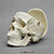 Human Male European Skull with Calvarium Cut