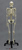 Human Male Asian Robust Skeleton Articulated