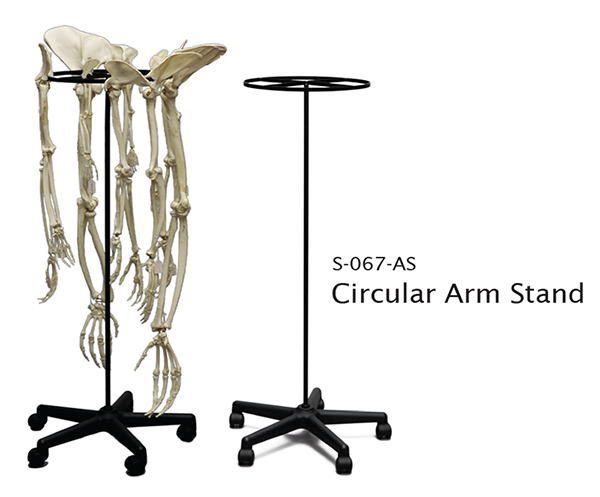 Circular Arm Stand