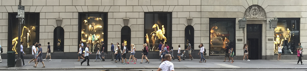 Bergdorf Goodman Windows - Bone Clones, Inc. - Osteological Reproductions