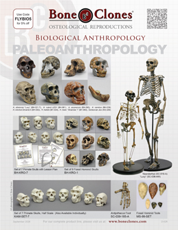 Biological Anthropology