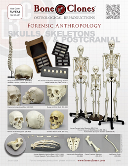 Forensic Anthropology
