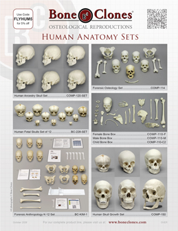 Human Anatomy