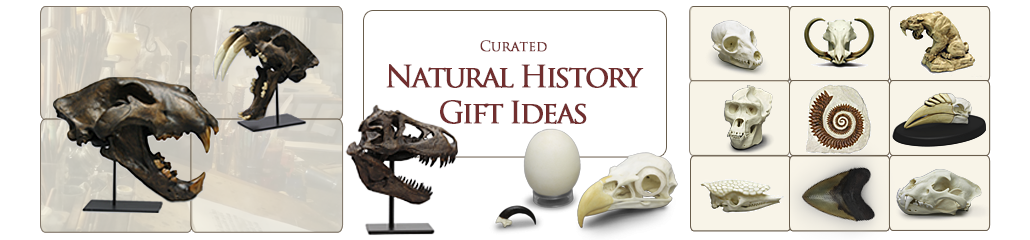 Natural History Gift Ideas