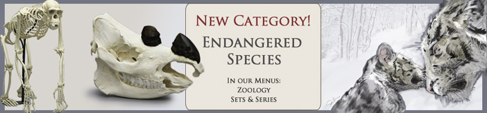 Endangered Species Category