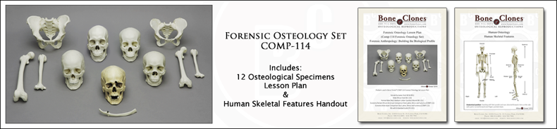 Forensic Osteology Set COMP-114